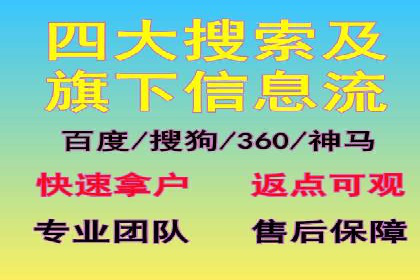 精准投放，sem竞价代运营的五大成功投放案例
